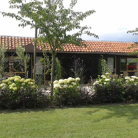 Bed And Breakfast Rodenberg Driebergen Eksteriør bilde
